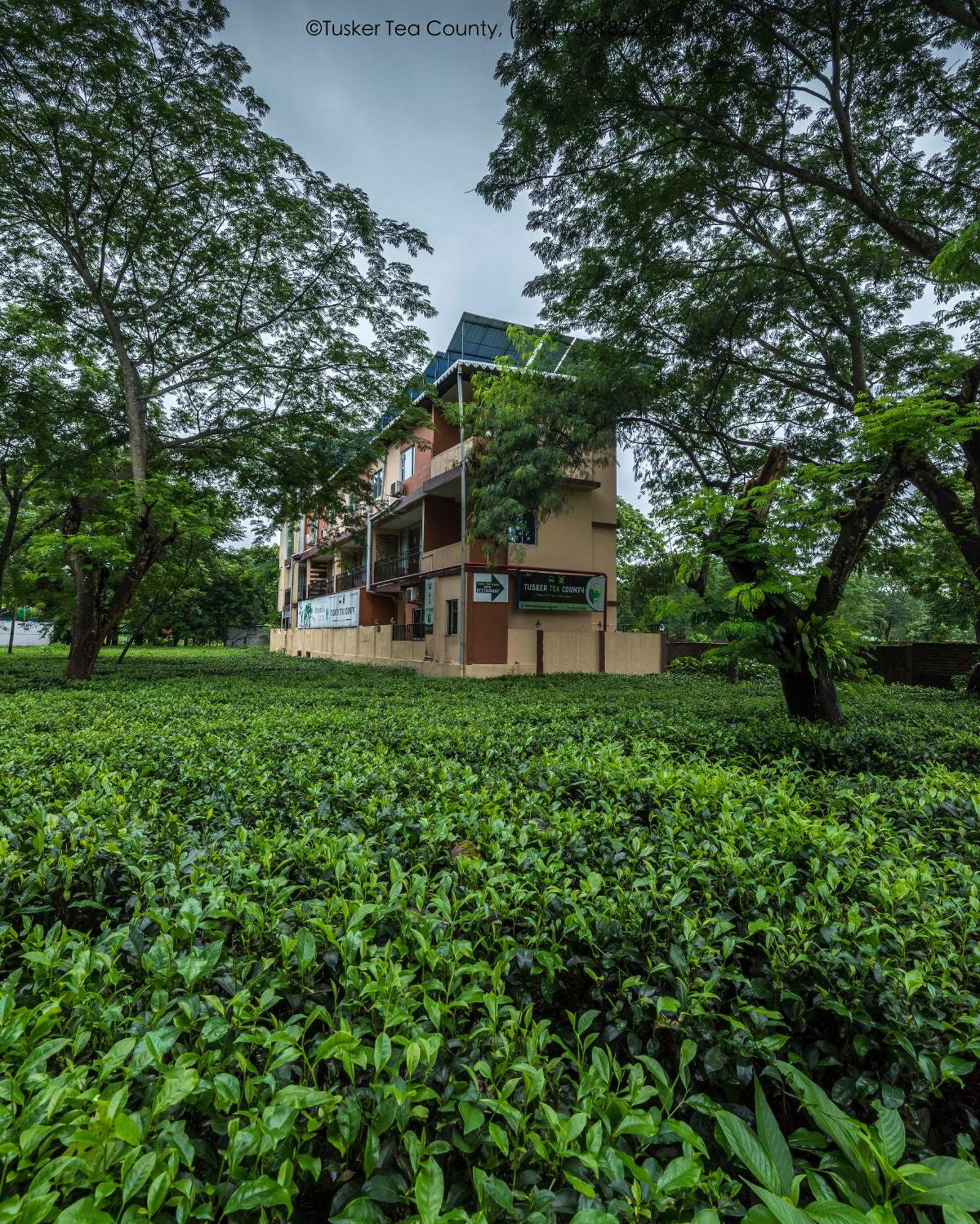 Hotel Tusker Tea County Chālsa Exterior foto